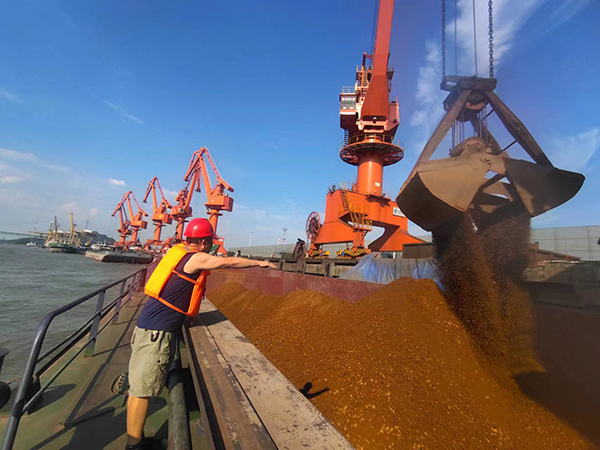 62fb3d06e94e7.jpg 1.jpg