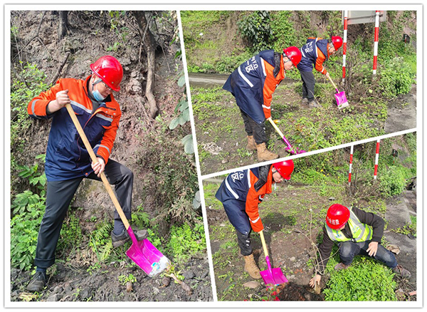 6417ce6a4c929.jpg 2.jpg