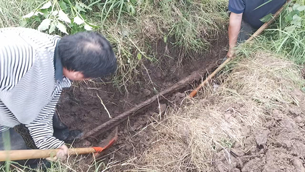 666cfbf10d1c7.jpg 忠縣分公司石寶、紅星客運碼頭對消落期港區(qū)系泊設(shè)施設(shè)備進(jìn)行維護(hù)保養(yǎng)3.jpg